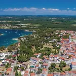 Valkanela Vi *