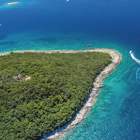 Valkanela Vi